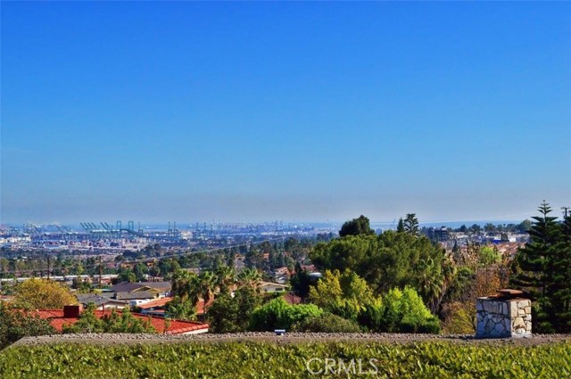 View from the Family Room