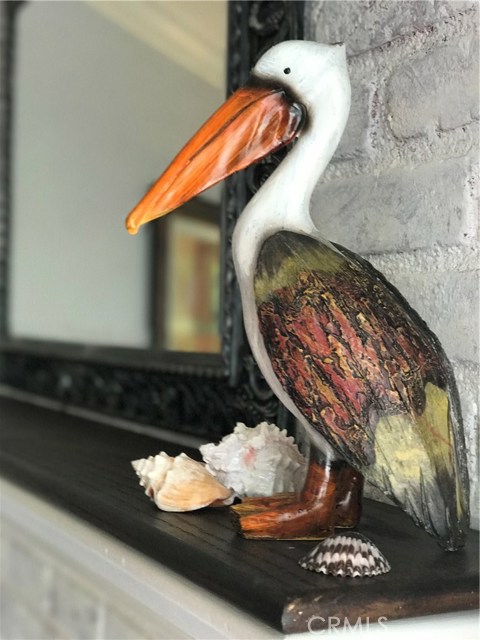 Watch out for the wildlife your at the beach baby! Watch out for the wildlife your at the beach baby!