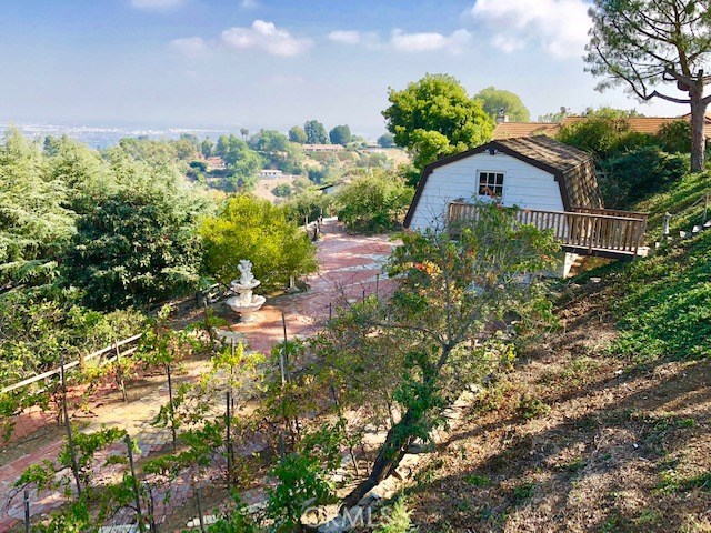 Vineyard and large secondary patio as you approach the barn.