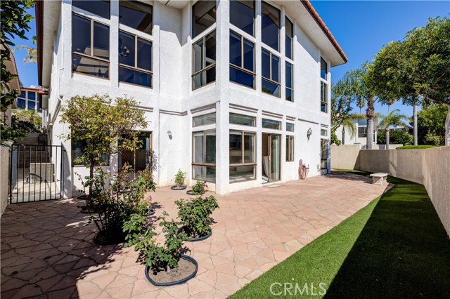 Backyard has patio with roses, lemon tree and artificial grass