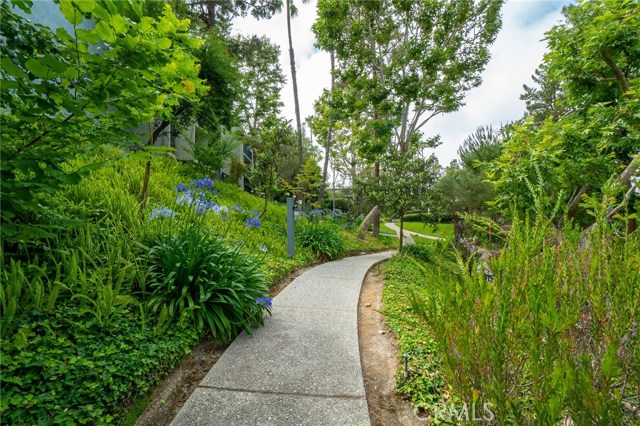 Meandering walk ways throughout the complex