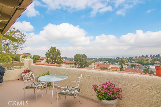 View from other end of the patio/deck