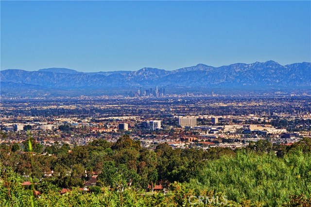 View of Downtown LA