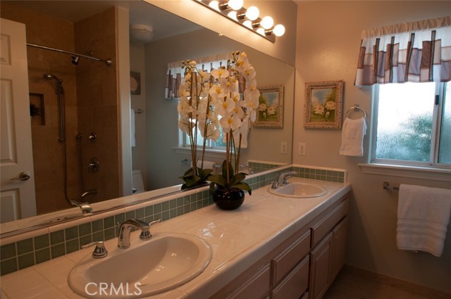 Guest Bathroom with new lighting & rain forest glass windows.