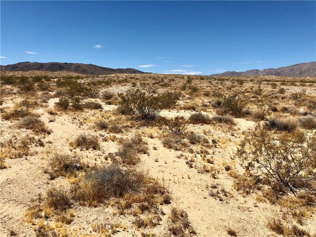 789 Twentynine Palms