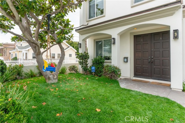 Front yard and new lawn