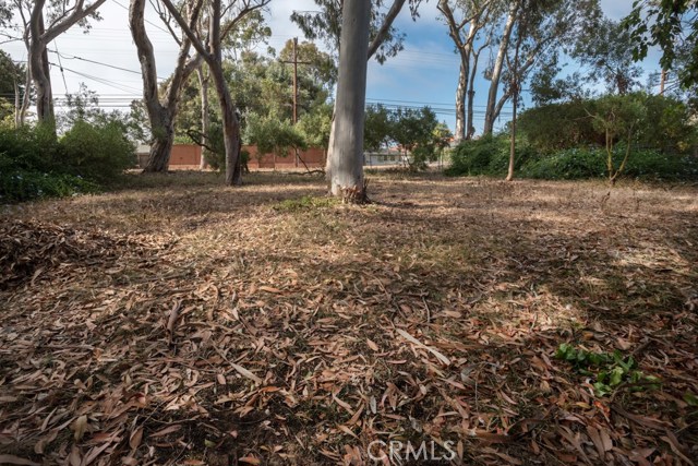 Back of lot adjacent to hiking trails