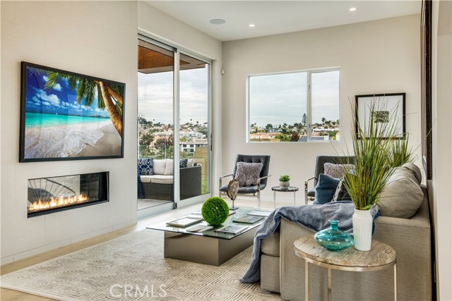 Living with double sided fireplace