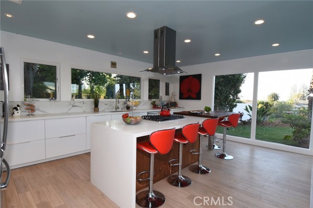 The most gorgeous kitchen, with city light views, and a slider that opens right onto the patio and rear yard.