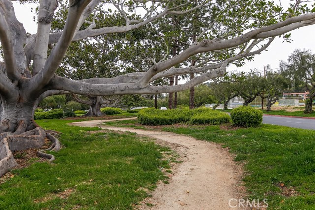 2337 Palos Verdes Drive, Palos Verdes Estates, California 90274, 2 Bedrooms Bedrooms, ,2 BathroomsBathrooms,Residential,Sold,Palos Verdes,SB17058095