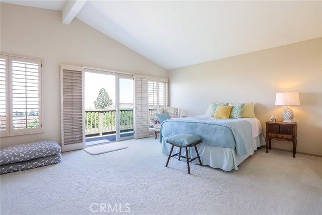 Master Suite with vaulted ceilings, walk in shower, large walk in closet and deck access