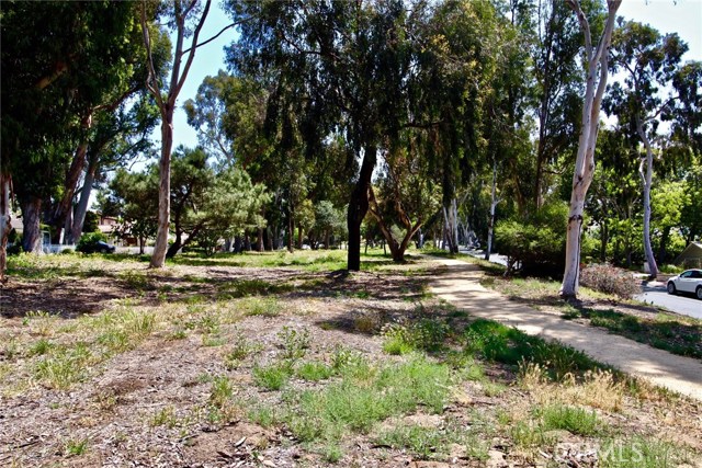 Trail view in front of home between PV Dr North looking East