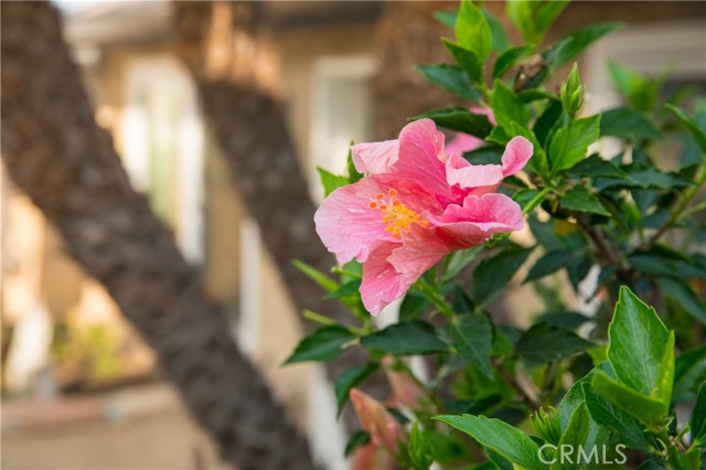 3001 Blaisdell Avenue, Redondo Beach, California 90278, 4 Bedrooms Bedrooms, ,3 BathroomsBathrooms,Residential,Sold,Blaisdell,SB20167335