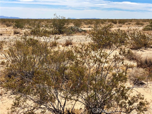 789 Twentynine Palms