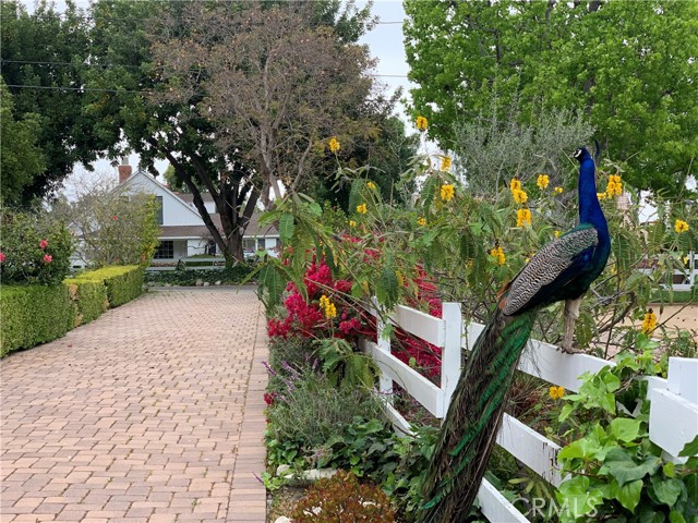 8 Sorrel Lane, Rolling Hills Estates, California 90274, 3 Bedrooms Bedrooms, ,2 BathroomsBathrooms,Residential,Sold,Sorrel,SB21085974