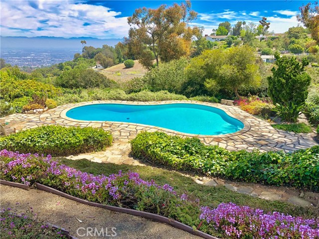 Huge pool and private setting allow for beautiful entertaining and swimming!