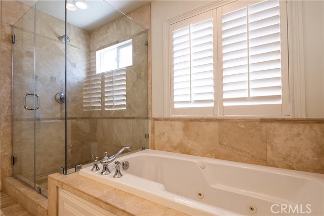 Master Bathroom Shower and Tub