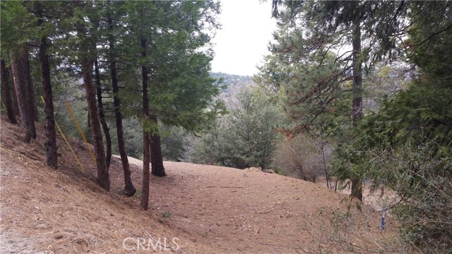 Featured Property - Jane Forster Realty