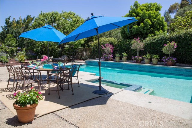 Beautiful open and private backyard with very large pool and spa