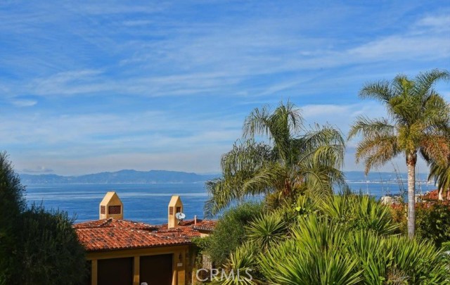 Ocean & Malibu View