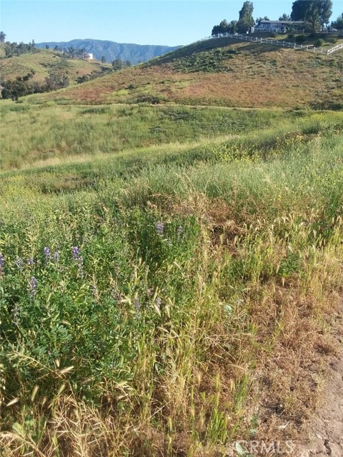 Pinnell