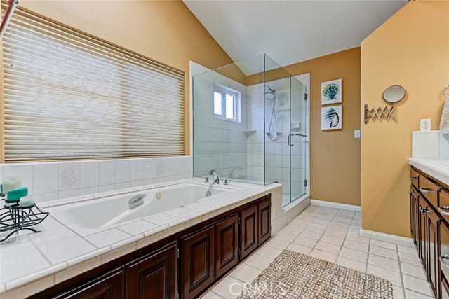 Master Bathroom Separate Tub/Shower Area