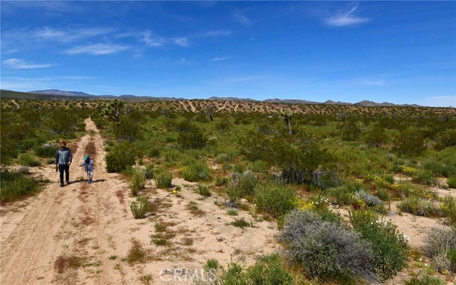 Junipero, Yucca Valley, CA, Junipero
