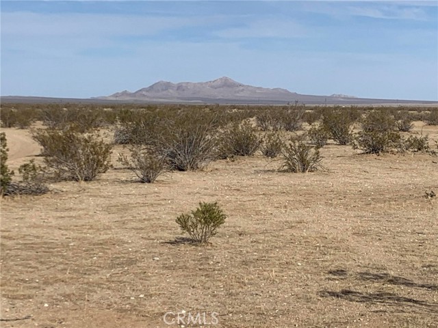  Land for Sale in California City, California