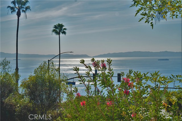 30506 Via La Cresta, Rancho Palos Verdes, California 90275, 4 Bedrooms Bedrooms, ,3 BathroomsBathrooms,Residential,Sold,Via La Cresta,SB17280269