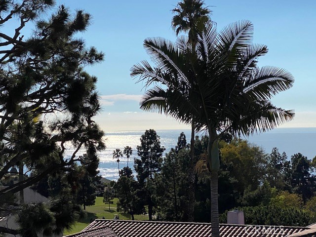 30112 Avenida Tranquila, Rancho Palos Verdes, California 90275, 4 Bedrooms Bedrooms, ,1 BathroomBathrooms,Residential,Sold,Avenida Tranquila,PV20013657