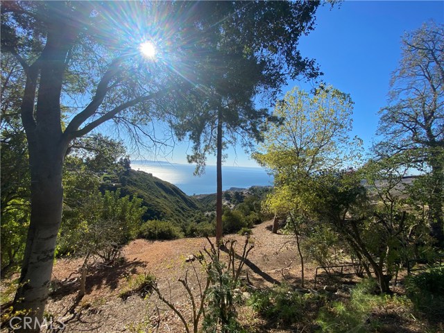 60 Portuguese Bend Road, Rolling Hills, California 90274, 3 Bedrooms Bedrooms, ,1 BathroomBathrooms,Residential,Sold,Portuguese Bend Road,PV20247927