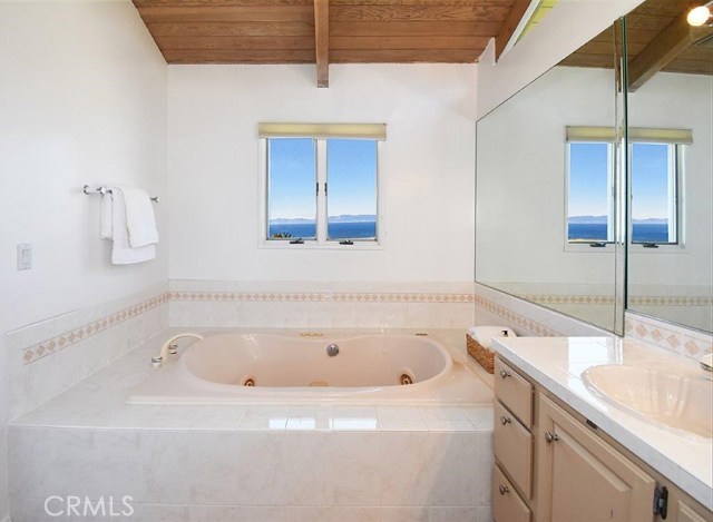 Master Bathroom with View