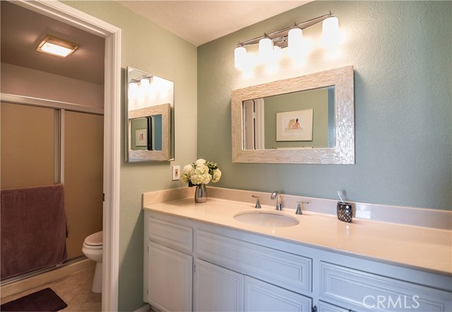 Sizeable Master Bath with Mirrored Medicine Cabinet and new light fixture above the vanity!