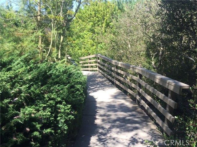 Walking path