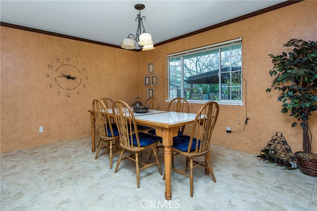 Oversized dining area with backyard views