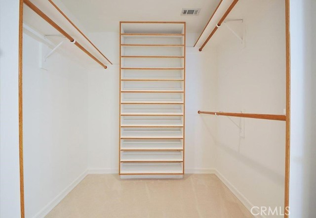 Walk-in Closet in Main Master Bathroom