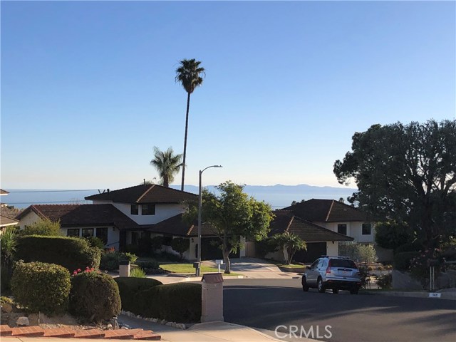Driveway View