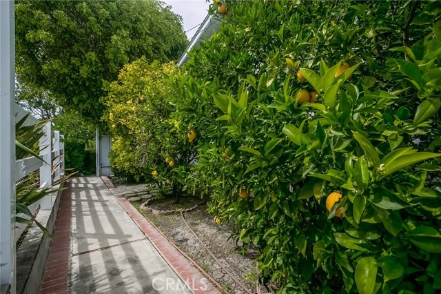 26856 Eastvale Road, Palos Verdes Peninsula, California 90274, 3 Bedrooms Bedrooms, ,2 BathroomsBathrooms,Residential,Sold,Eastvale,PV17081931