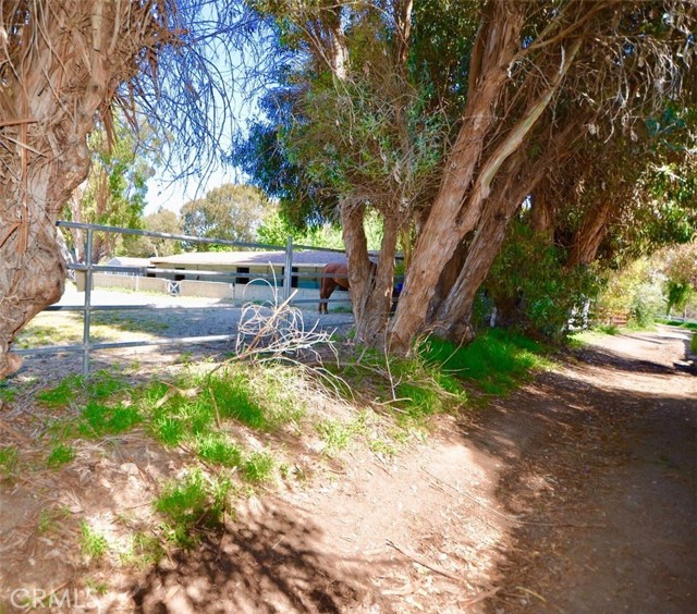 View from the trail behind the property.