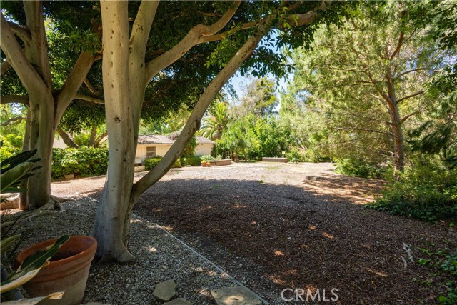 3849 Paseo Del Campo, Palos Verdes Estates, California 90274, 3 Bedrooms Bedrooms, ,2 BathroomsBathrooms,Residential,Sold,Paseo Del Campo,PV20115384