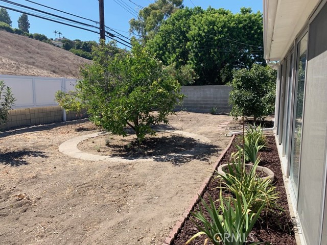 Lots of fruit trees in the backyard