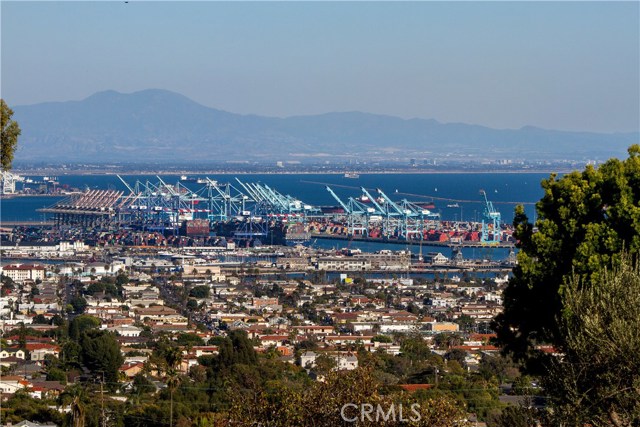 A zoomed view from the front yard.  The blue cranes of the Maersk yard on Pier 400 with Saddleback Peak and Mt Modjesca springing up from the OC in the background.  You can almost make out Tim's house in Dana Point also.