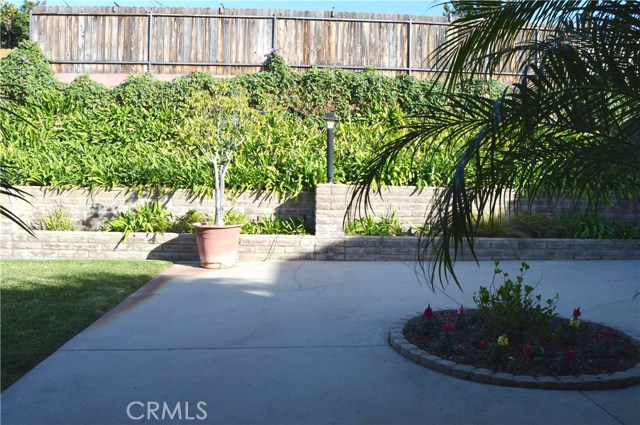 Backyard through sliding patio doors