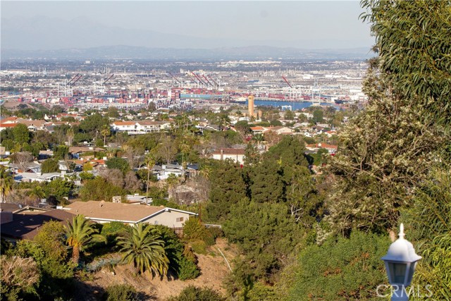 View of the canyon, LA basin, and harbor.