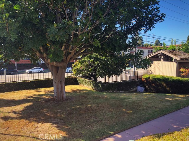 Front yard