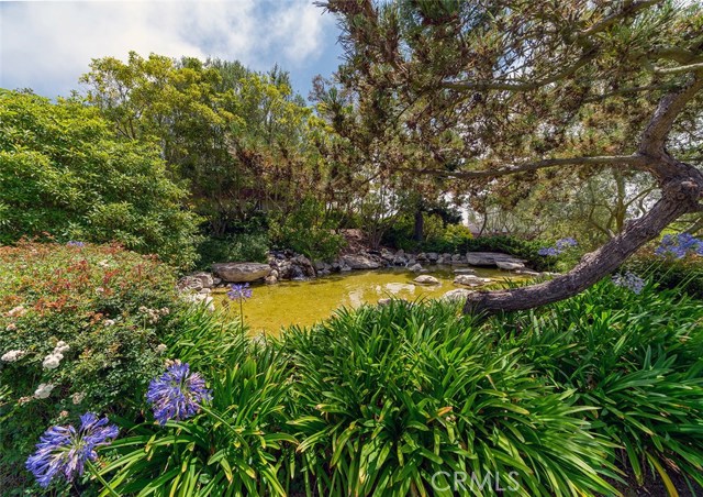 Beautiful pond near the town home