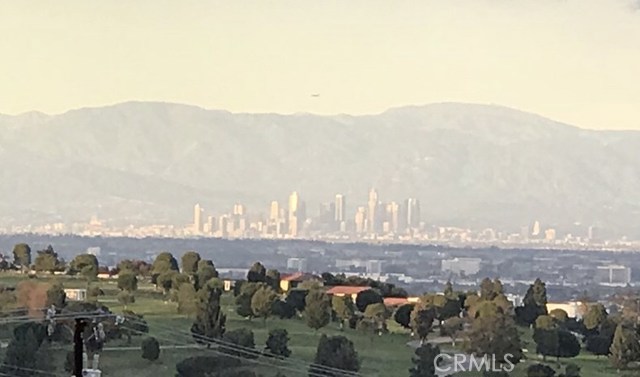 View from backyard of Green Hills, downtown LA and mountains.