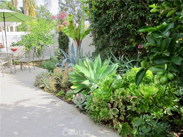 2 Willowood, Aliso Viejo, CA 92656 photo 20