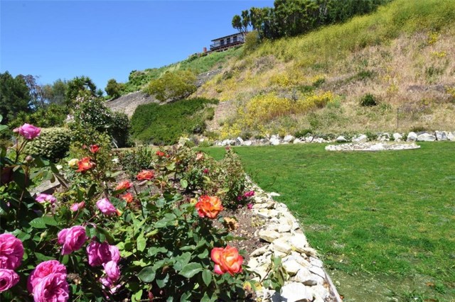 Rose Garden Next to Grassy Side Yard Rose Garden Next to Grassy Side Yard