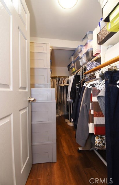 Walk-in Closet in Master Bedroom